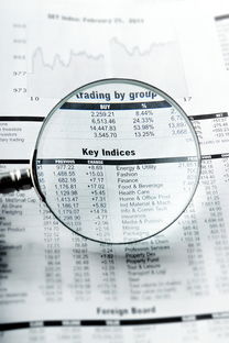 仙桃同志供卵选性别：nt值偏高风险大吗下一步检查什么？